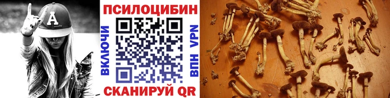 Купить Шиханы Псилоцибиновые грибы мухоморы